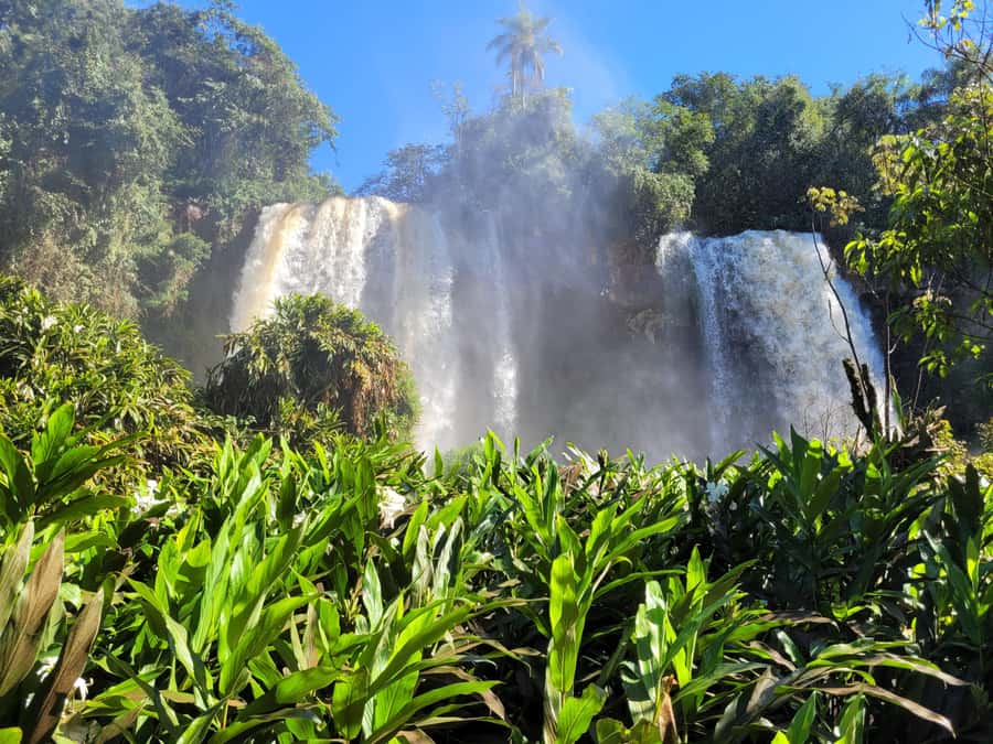 Iguazu Falls: Guided Tour in Argentinean Side - The Lower Trail, 2.5 Kilometers Near the Spray