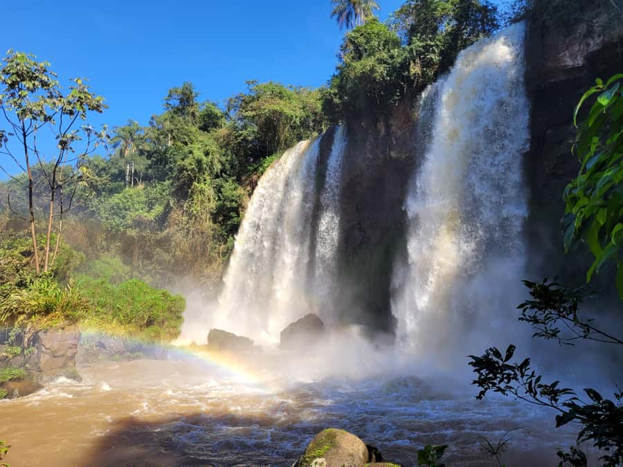 Iguazu Falls: Guided Tour in Argentinean Side - What the $245 Price Really Buys