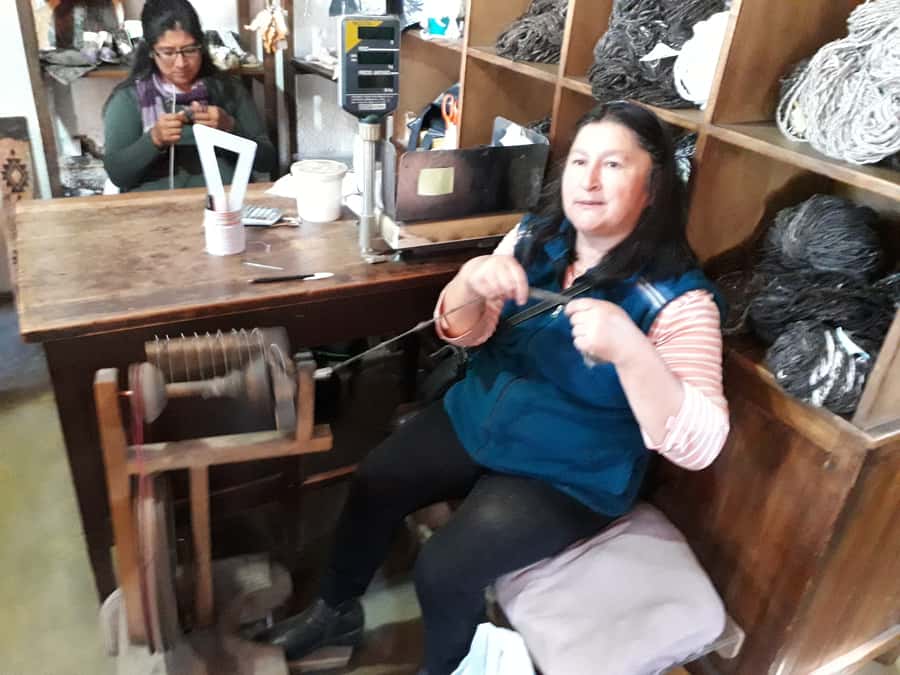 Indigenous People of Patagonia History Tour - My verdict: book it for context, not just scenery