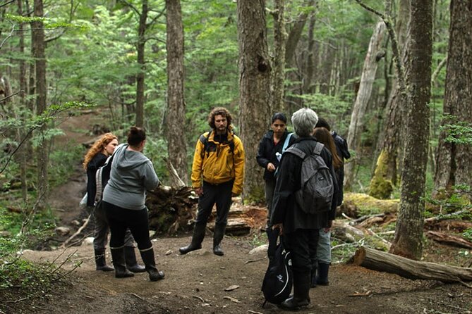 Laguna Esmeralda Trekking Adventure with Lunch - The four-hour return loop