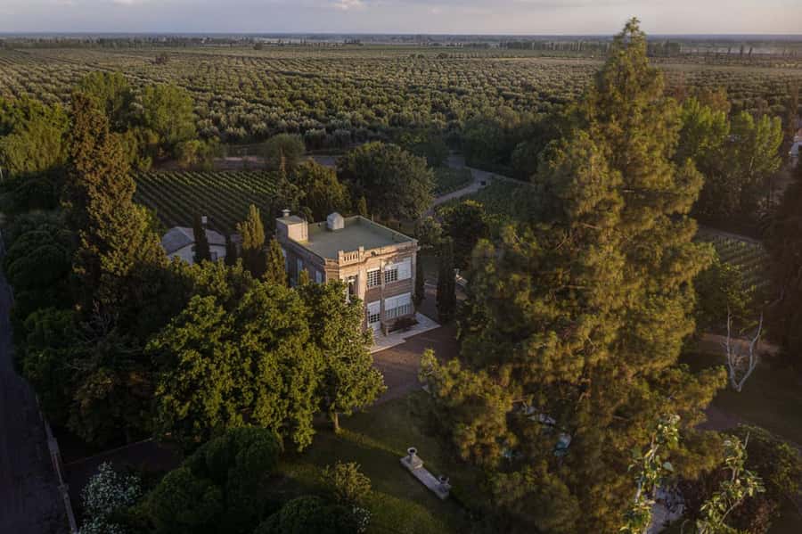 Luigi Bosca Winery Tour with Wine Tasting and Lunch - Walking the vineyards and hearing the Arizu story