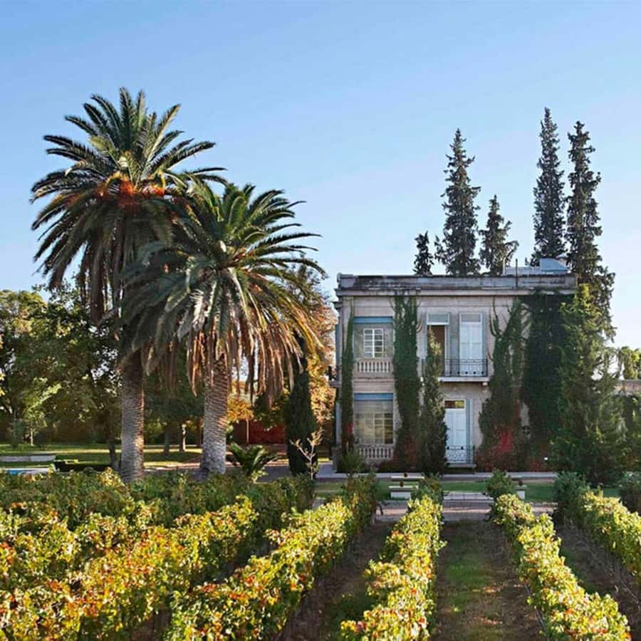 Luigi Bosca Winery Tour with Wine Tasting and Lunch - Pickup from Mendoza keeps the afternoon simple