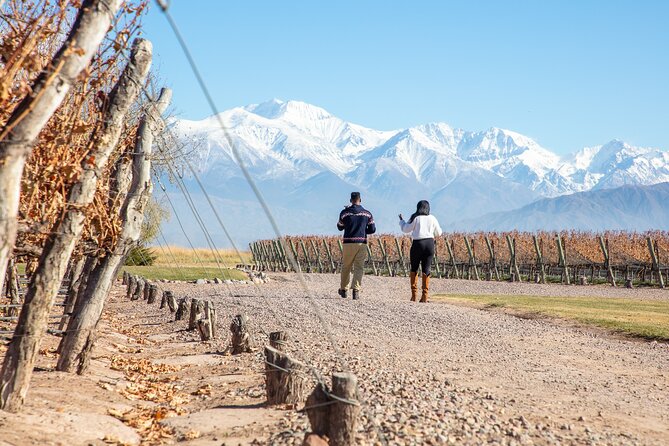Lujan Deluxe - Full day - Premium Wine Tour with Gourmet Lunch - Casarena: old vines in a century-old cellar
