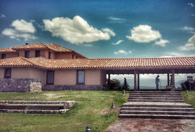 Lujan Deluxe - Full day - Premium Wine Tour with Gourmet Lunch - Who should book this Mendoza wine tour?