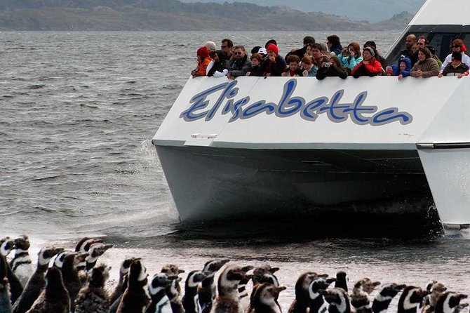 Martillo Island: Boat Trip to the Penguin Colony & Beagle Channel - Les Eclaireurs Lighthouse and the Monte Cervantes story