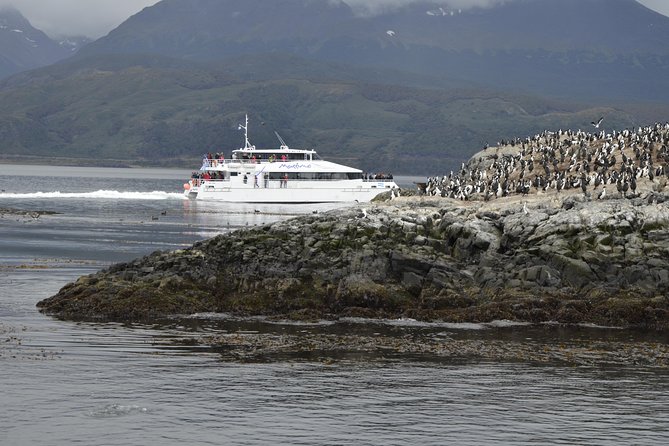 Martillo Island: Boat Trip to the Penguin Colony & Beagle Channel - Martillo Island and the penguin colony