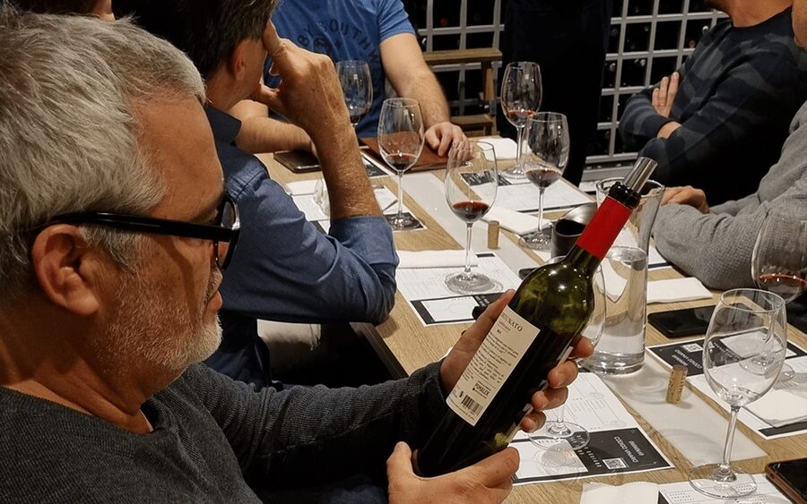 Mendoza: Classic Wine Tasting - Practical tips for making the most of it