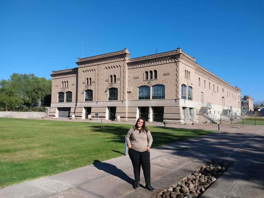 Mendoza: Full Day Wine Tour with 3 Course Lunch - Key points at a glance