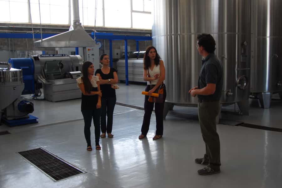 Mendoza: Full Day Wine Tour with 3 Course Lunch - Practical advice for making the day better