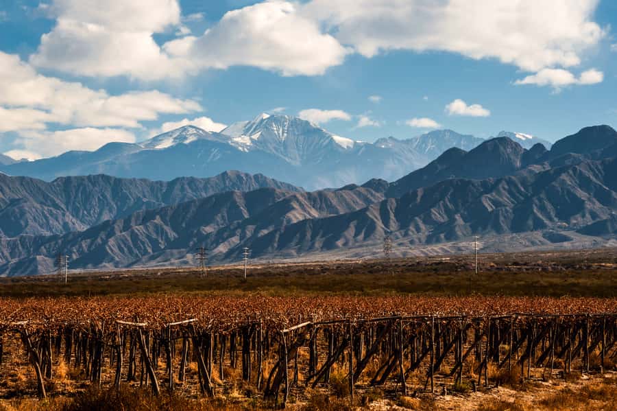 Mendoza: Full Day Wine Tour with 3 Course Lunch - The morning ride through Mendoza’s irrigation oasis