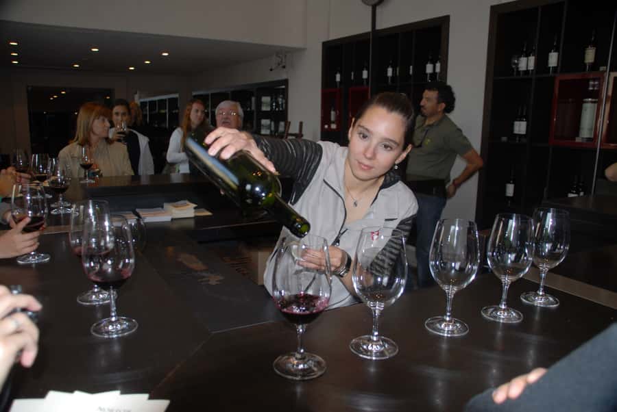 Mendoza: Full Day Wine Tour with 3 Course Lunch - Who will enjoy this experience most