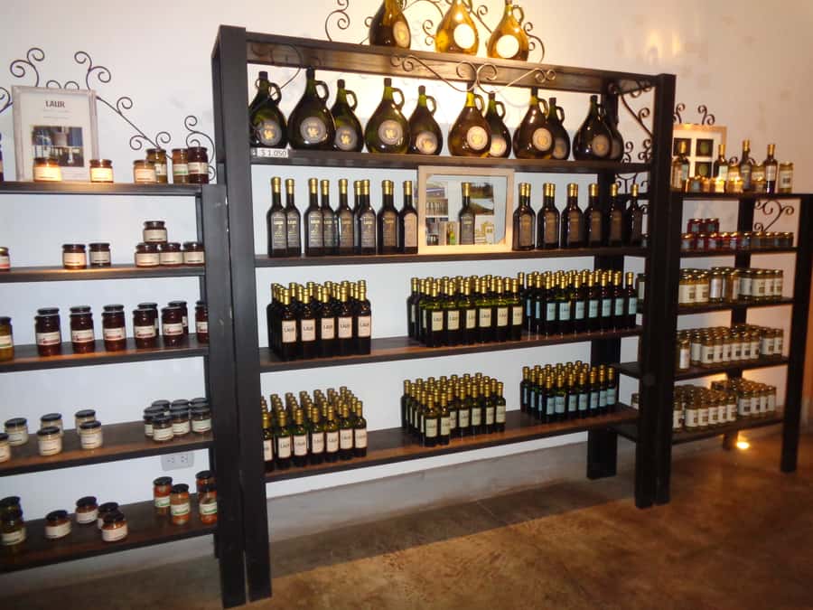 Mendoza: Half-Day Wine Tour with Tastings - Why Mendoza’s wine country begins with water