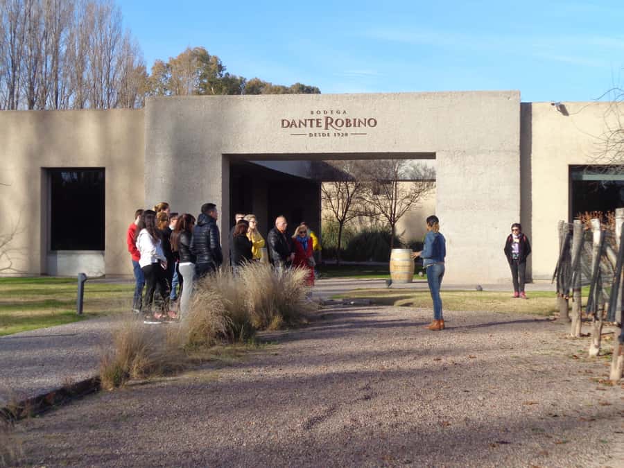 Mendoza: Half-Day Wine Tour with Tastings - First winery: production before tasting