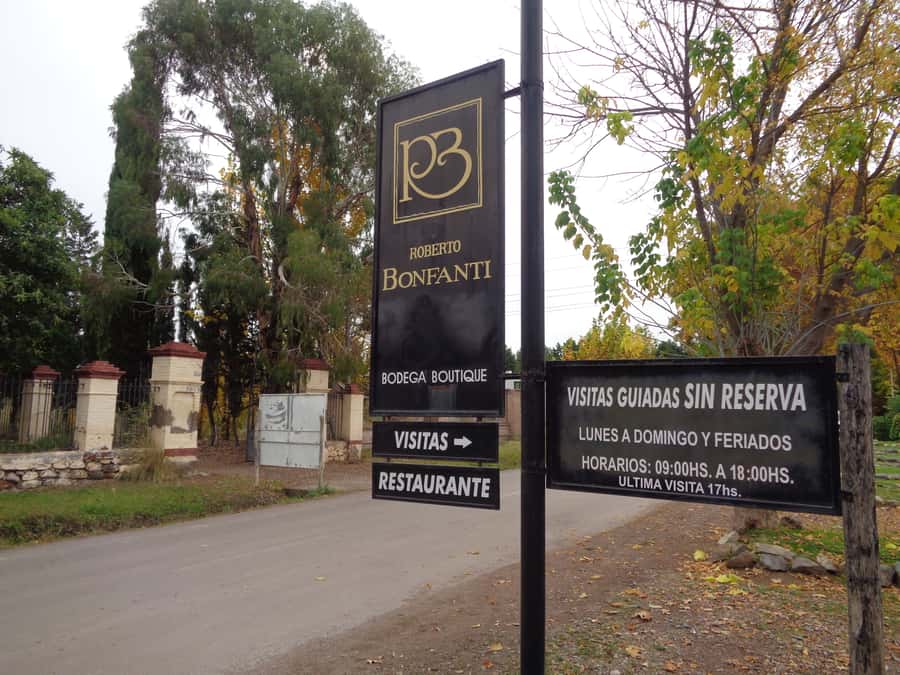 Mendoza: Half-Day Wine Tour with Tastings - Wine tasting pace and group size