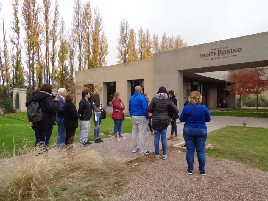 Mendoza: Half-Day Wine Tour with Tastings - Central Mendoza pickup and the road out