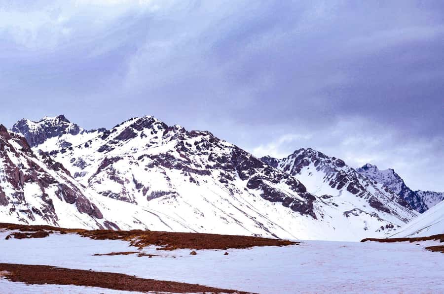 Mendoza: High Mountain Experience, a Tour through the Andes - Picheuta, Polvaredas, and Punta de Vacas