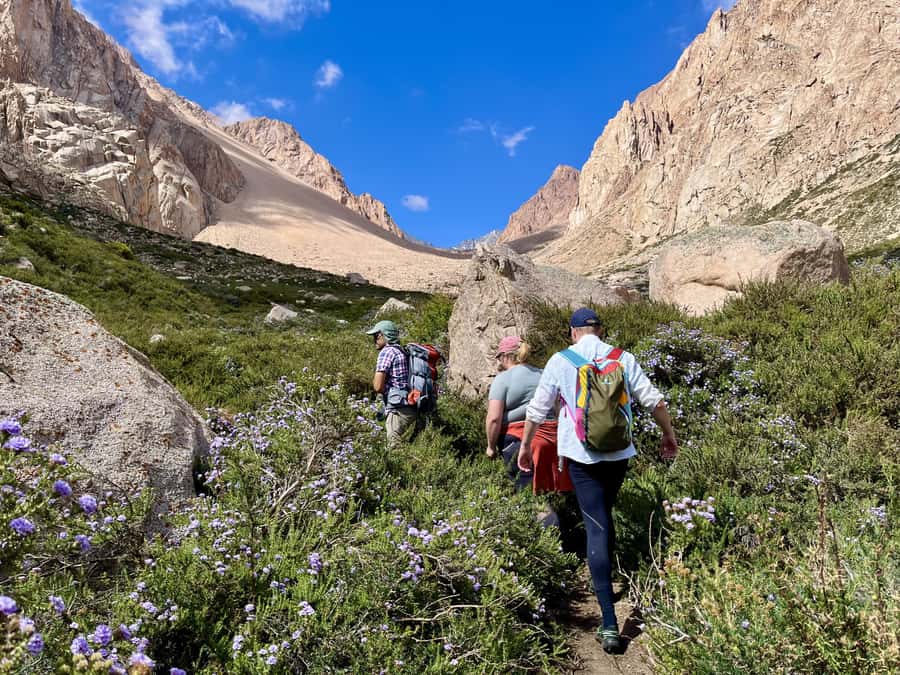 Mendoza: Hiking, Meditation & Yoga in the Andes with Lunch - The 80-minute ride from Mendoza