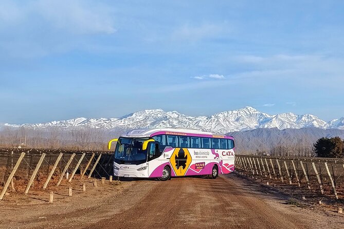 Mendoza Hop-On Hop-Off Wine Tour - Guides, Language, and the Bus Ride