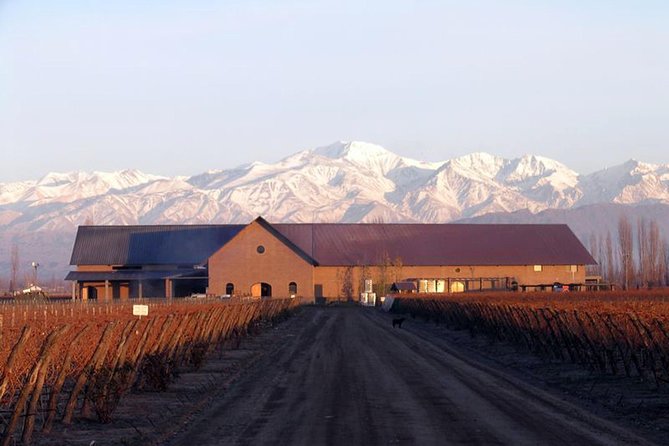 Mendoza Hop-On Hop-Off Wine Tour - The Real Cost of a $40 Ticket