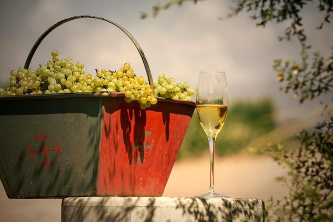 Mendoza Hop-On Hop-Off Wine Tour - Who Should Book This Experience?