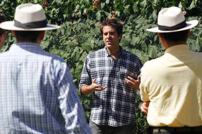Mendoza Hop-On Hop-Off Wine Tour - What the Full-Day Schedule Feels Like