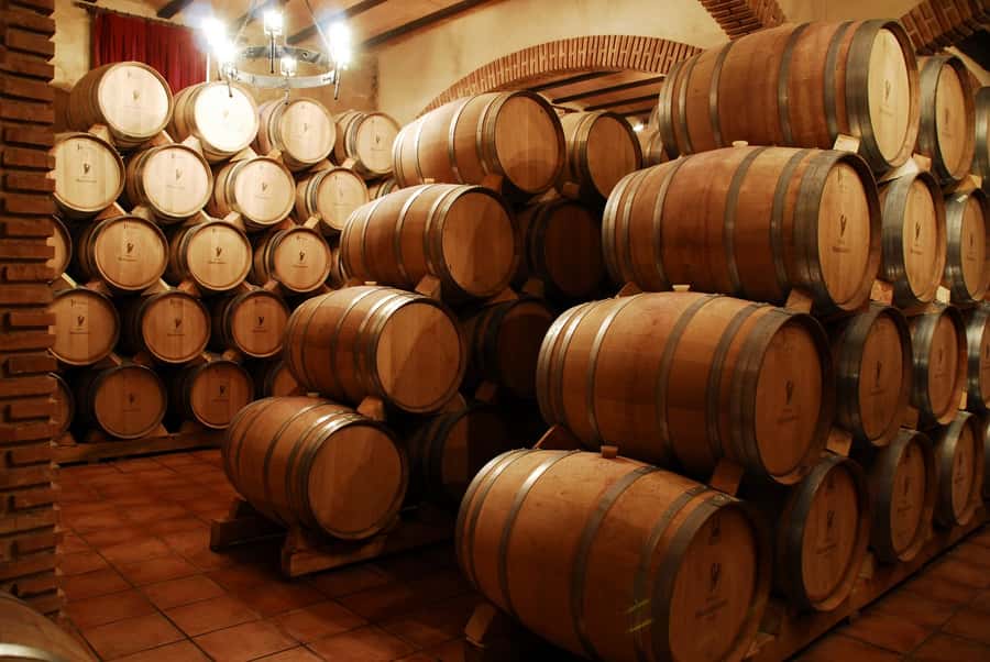 Mendoza: Small-Group Wineries Tour with Tasting and Lunch - Key points to know before booking