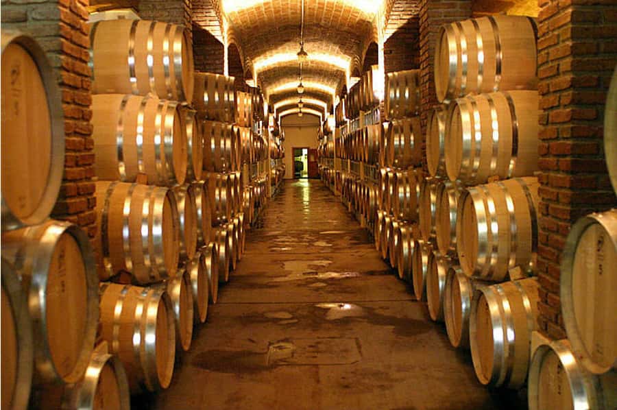 Mendoza: Small-Group Wineries Tour with Tasting and Lunch - Regional lunch and the value of the meal