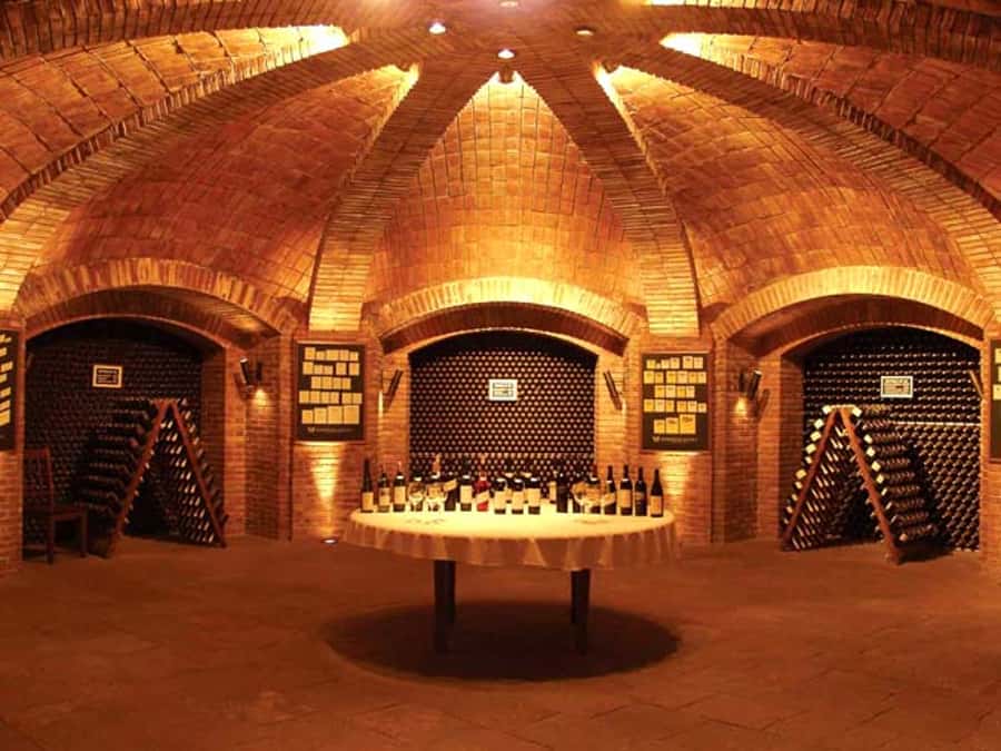 Mendoza: Small-Group Wineries Tour with Tasting and Lunch - First winery: from vineyard rows to the cellar