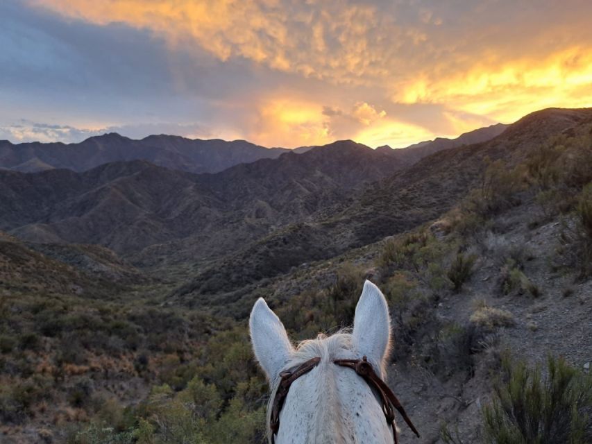 Mendoza: Sunset Horse Back Riding in the Mountains and BBQ - Who will enjoy this most
