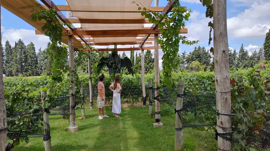 Mendoza: Top Wineries Guided Tour with Transportation - The day at a glance
