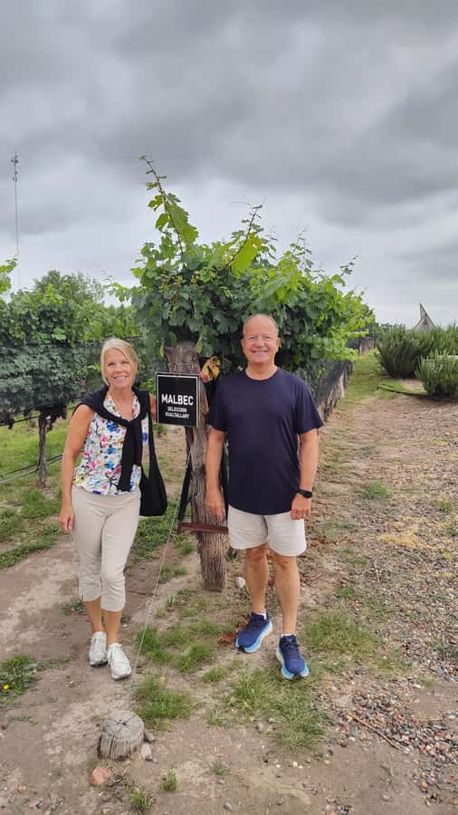 Mendoza: Top Wineries Guided Tour with Transportation - Why the three-stop format works