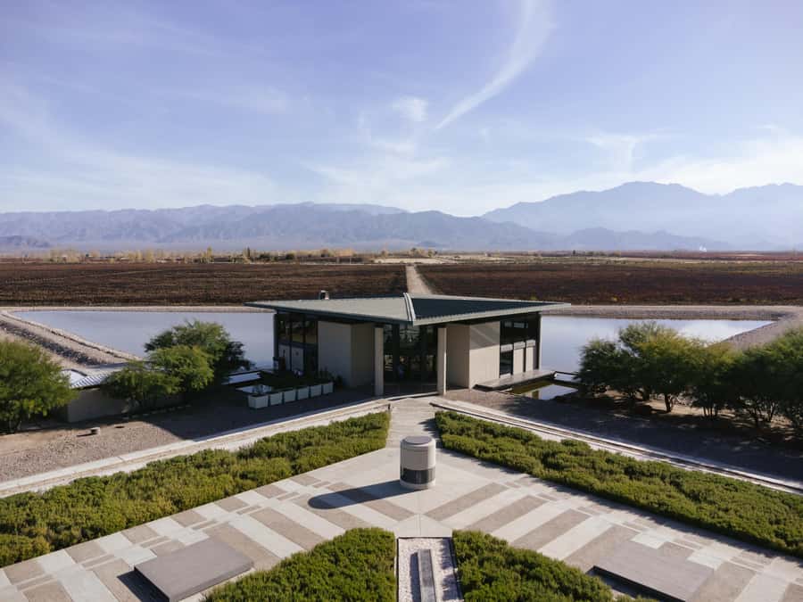Mendoza: Tour with tasting and lunch High Altitude Wineries - Key things to know before booking