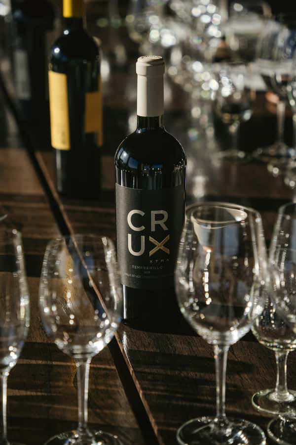 Mendoza: Tour with tasting and lunch High Altitude Wineries - Alfa Crux and the six-course lunch