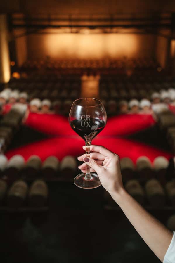 Mendoza: Tour with tasting and lunch High Altitude Wineries - Final call: book it for the wineries, not the car