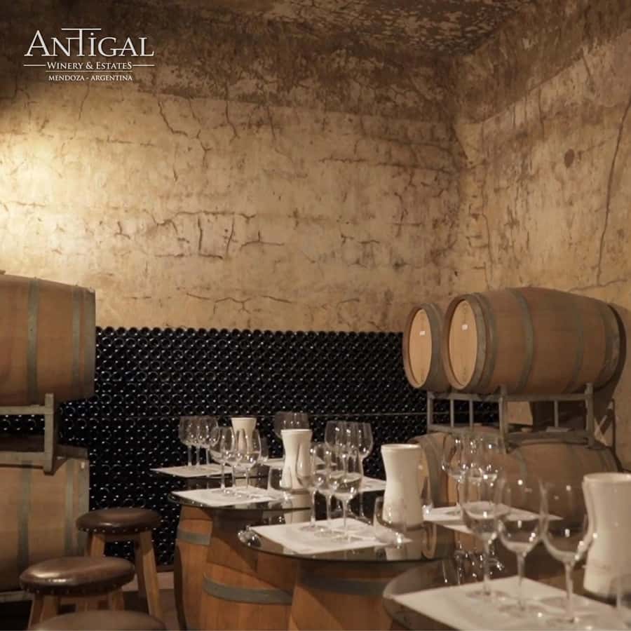 Mendoza: Wine Tasting Tour with Lunch and Private Transport - Key points to know before booking