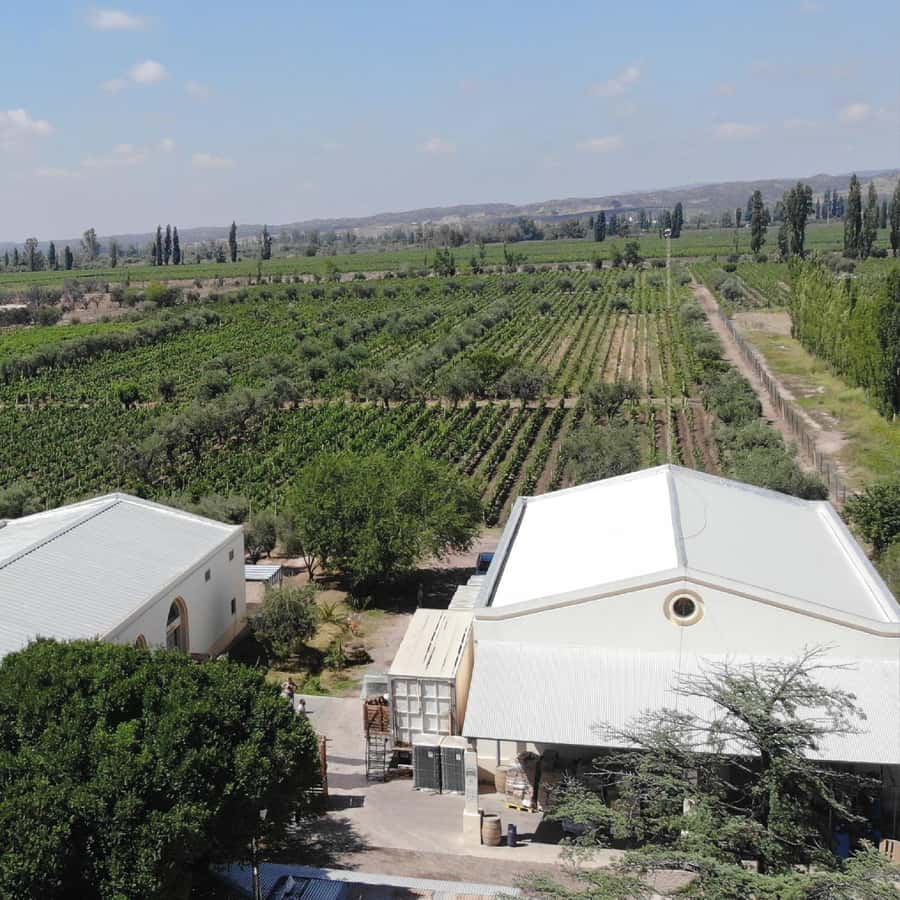 Mendoza: Wine Tasting Tour with Lunch and Private Transport - Useful details for planning your day
