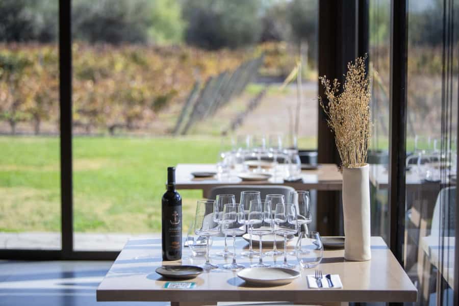 Mendoza: Wine Tasting Tour with Lunch and Private Transport - Why this Mendoza wine day works well