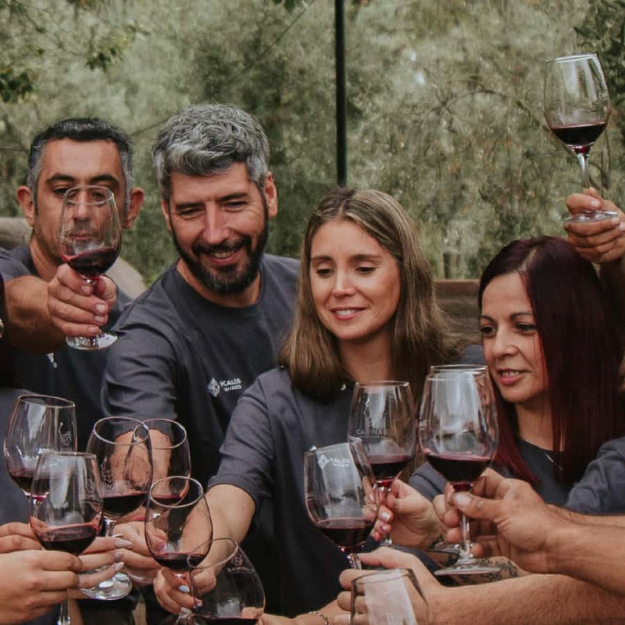 Mendoza: Wine Tasting Tour with Lunch and Private Transport - Stop one: learning how Mendoza makes wine