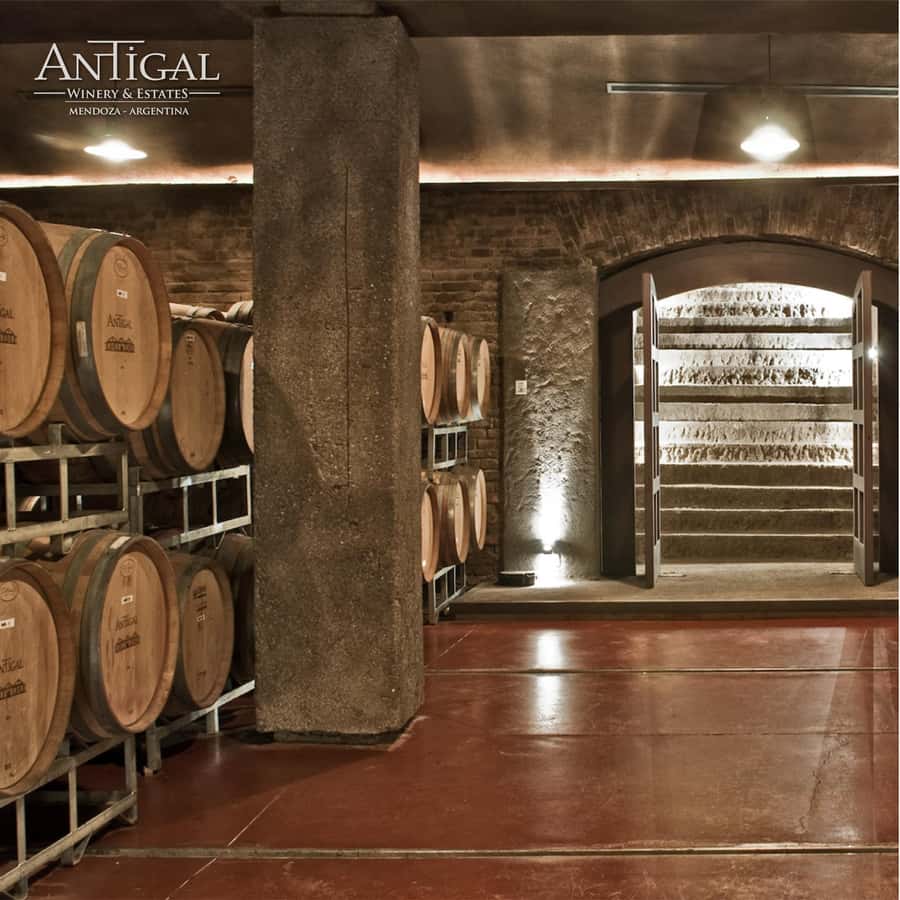 Mendoza: Wine Tasting Tour with Lunch and Private Transport - Stop two: comparing a second producer