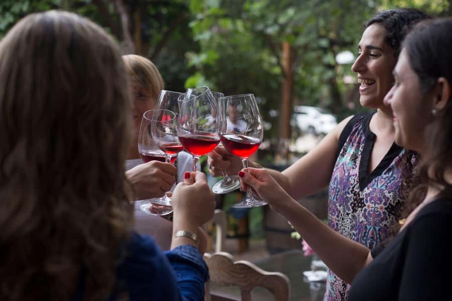 Mendoza: Wine Tasting Tour with Lunch and Private Transport - Andes views, vineyards, and the feel of the day