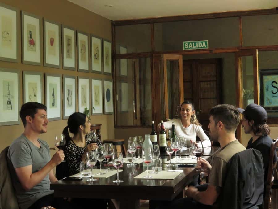 Mendoza: Wine Tasting Tour with Lunch and Private Transport - Your pickup and private ride from Mendoza