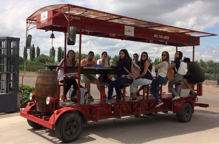 Mendoza: Winebike Tasting Tour with Optional Lunch - La Melessca and the olive oil tasting