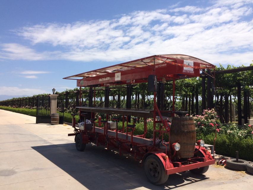 Mendoza: Winebike Tasting Tour with Optional Lunch - Who will enjoy this Mendoza wine tour most?