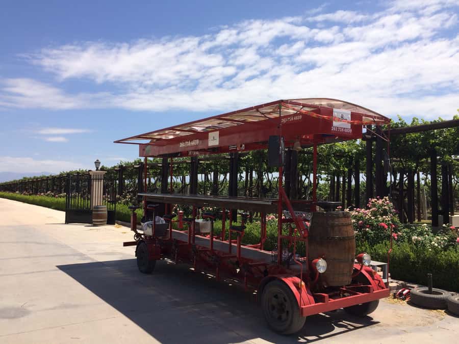 Mendoza: Winebike Tasting Tour with Optional Lunch - The multi-bike ride through Mendoza’s vineyards