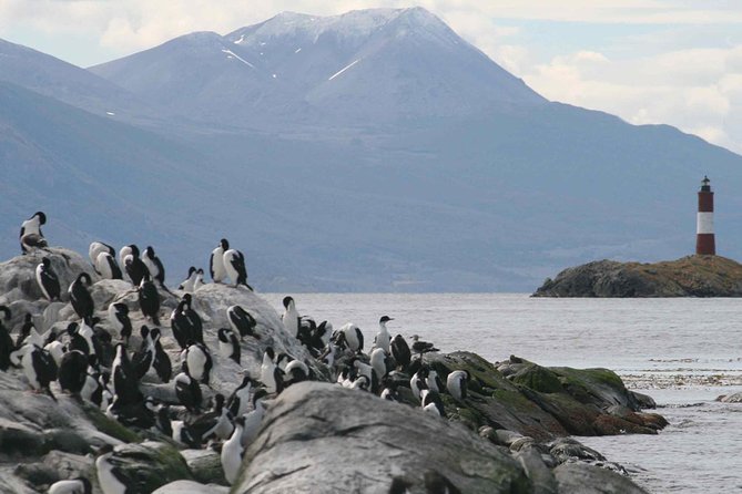 Navigate through the Beagle Channel: Seal, Bird & Penguin Islands - The return past Tierra del Fuego’s estancias