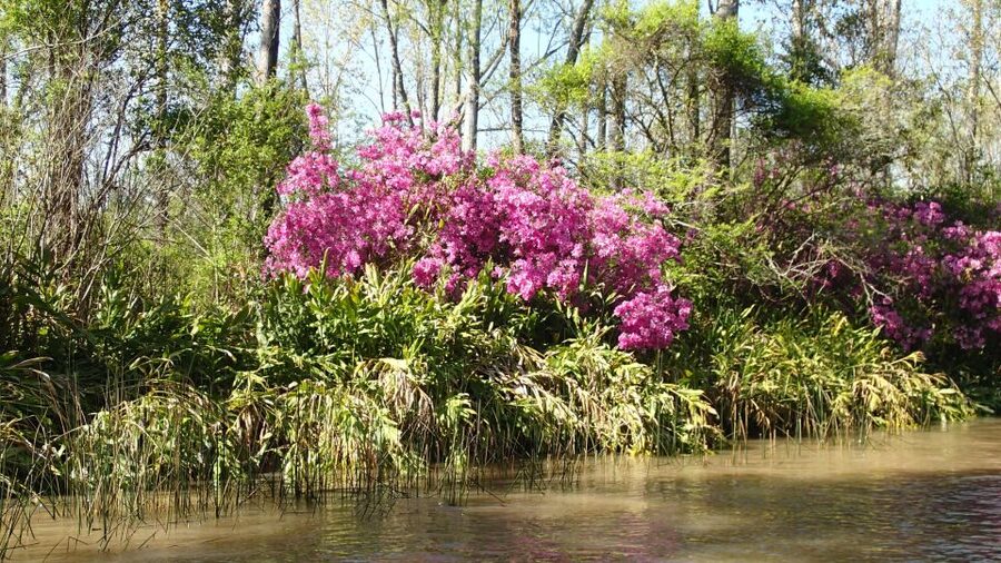 Navigation in Delta of Tigre - Exclusive semi private tour - What to bring for a comfortable half-day