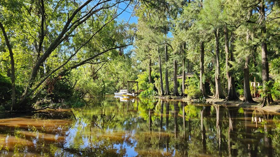 Navigation in Delta of Tigre - Exclusive semi private tour - Why the Tigre Delta feels different from Buenos Aires
