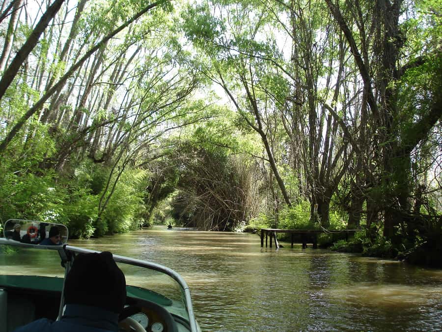 Navigation in Delta of Tigre - Exclusive semi private tour - Two hours through the delta by speedboat