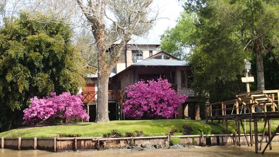 Navigation in Delta of Tigre - Exclusive semi private tour - A quiet ride, with practical details to watch