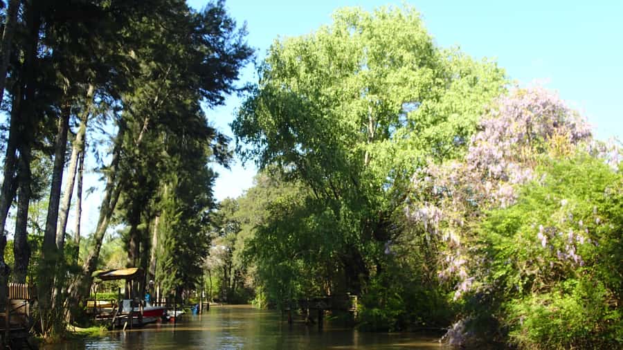 Navigation in Delta of Tigre - Exclusive semi private tour - Summer swimming, if conditions allow
